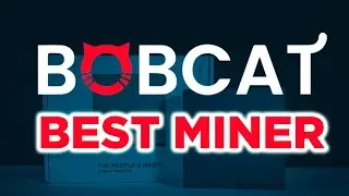 Bobcat Miner | The Best Helium Miner to purchase. ($HNT)