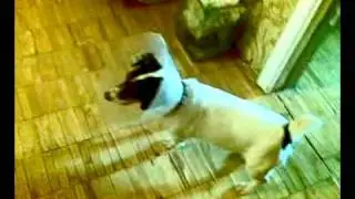 30052010.mp4