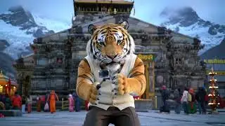 TigerVlog #WildlifeIndia #JungleLife #TigerAttack #NatureVlog