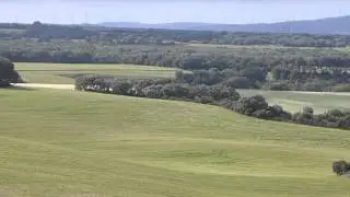 Beatiful WHEAT FIELD, Blowing in the wind... On the Camino