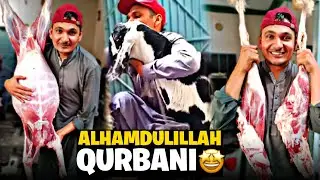 Alhamdulillah Qurbani Kr le 😊 | Eid ul Adha Mobarik🤩