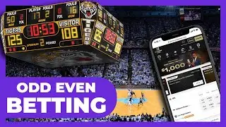 Odd Even Bet in Sports Betting Explained & How to Bet 📖 ✍️