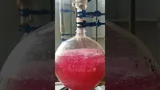 малиновое настроение #chemistry #shorts #lab #химия
