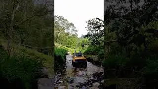 Belalang Tempur Jeep Adventure off-road kemuning #truckoffroad #automobile #motoroffroad #offroad