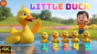 Five Little Ducks | Детские песни | HD 4K ANUSHA FUNLAND