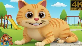 Meow Meow Cat 🐱 | Cute 3D Cat Story for Kids | Funny Kids Animation