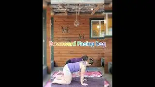 Yoga Poses made easy for kids- using yoga pose cards as a game