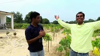 Bihar Ka Anokha Gaon | Apple 🍎Tree Aur 110 Tarah Ke Aam | Bardaha Madhubani Vlog