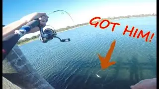 Trout at Karkarook Lake!
