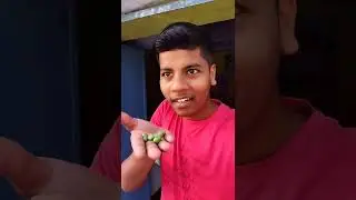Harami beta 2 comedy video🤣 #shorts #youtubeshorts