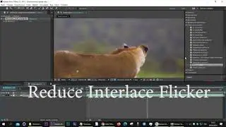 Эффект Reduce Interlace Flicker   After Effects