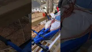 Testing my backyard roller coaster🎢 #shorts