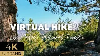 4K Virtual Hike, Los Padres National Forest, Figueroa Lookout, California, Cloudy Day
