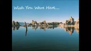 Wish You  Were Here