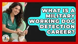 What Is A Military Working Dog Detection Career? - Animal Care Jobs