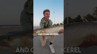 When Musky Bite Back PART 2