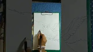 How to draw owl # owl drawing # simple pencil drawing