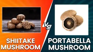 Shiitake Mushroom vs Portabella: Which One is Better?
