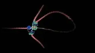 DNA Replication Real Time!