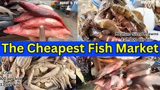 Exploring one of the Cheapest and Biggest Fish Market in Nigeria