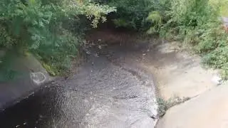WALKING IN BRISCOE PARK