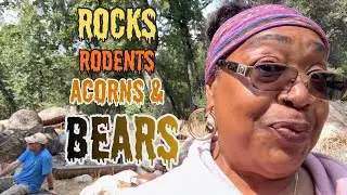Rocks, Rodents, Acorns & BEARS!! Let’s SEE what’s really Going ON on the LAND!! #offgrid #nature 