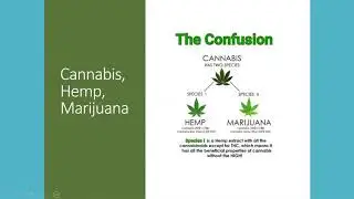CBD Oils in the Dental Sleep Practice - Dr. Kent Smith