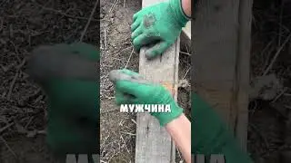 ВОТ ЭТО ЭКСПЕРИМЕНТ @nail_vs_wood