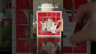 Tea Advent Calendar Day 20 | Tea Vlogmas | Christmas Advent 2022