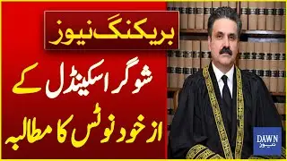 CJP Urged To Take Suo Motu Notice Of Sugar Scandal | Breaking News | Dawn News