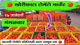२७ जानेवारी २०२६ | टोमॅटो मार्केट डाऊन | खोरीफाटा टोमॅटो मार्केट भाव | Khoriphata Tomato Bhav 