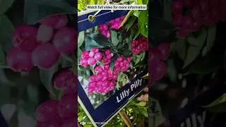18th Grand NURSERY MELA 2025 in HYDERABAD | Biggest Plant Expo| Horticulture Exhibition