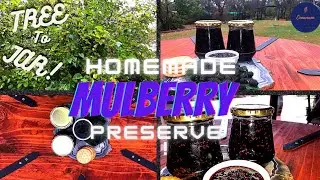 Tree to Jar | Homemade Mulberry Preserve.