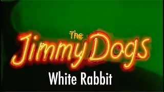 White Rabbit played by The Jimmydogs