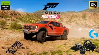 Forza Horizon 5 на руле logitech g923 +shifter. Раллийные гонки на Ford Raptor