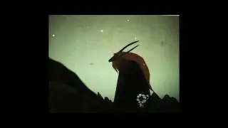 when the sun goes down/ the greylands