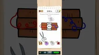 brain test 2 level 6