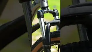 CRADIAC - Alpha PRO | 29