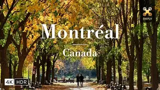 Montreal Fall Season in 4K &ndash; Autumn Leaves & Scenic Walks in Quebec, Canada