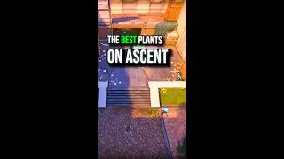 👉 The BEST Spike plants on Ascent❗