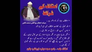 23 November 2025