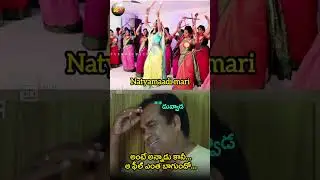 Duvvada Srinivas and Divvela Madhuri Latest Video | #duvvadasrinivas #divvelamadhuri #telugusena #ap