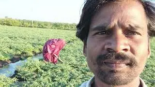 Kallu bandodiya 2 हाथ मा मोबाईल लिन फिरतली Shankara nare आदिवासी नया गाना
