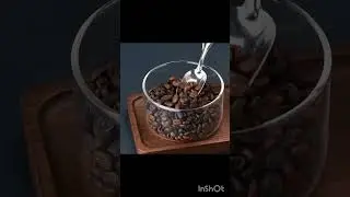 Coffee Grinder Charged Professional Stronger Adjustable SUS Core Grinding Machine