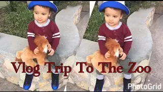 Family Day Out At The Zoo / Vlog #4