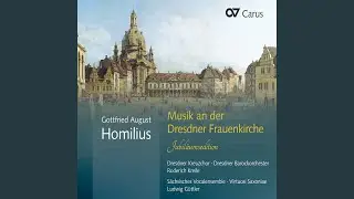 Homilius: Die Freude der Hirten über die Geburt Jesu, HoWV I.1 - X. Heil dem besten Hirten