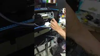 DTF Riecat Alfa Dumper Check