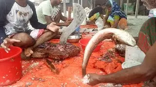Black Big Sola Fish Cutting II Deshi Shol Fish Cutting Skills II Rajfulbaria fish market-39