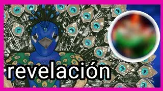 ¿QEED? Revelación capitulo 7 segundo combate| lugar 9°