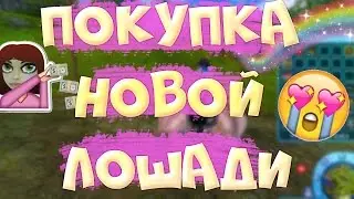Star Stable на русском / ПОКУПКА ЛОШАДИ/ КТО ЭТО?!!!/ Koda
